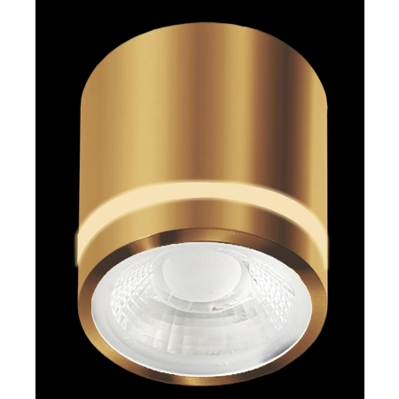 Złota, punktowa oprawa natynkowa do łazienki AZ6041 z serii VICI