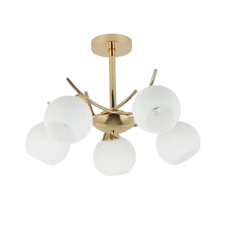 Elegancka, złota lampa sufitowa glamour 35-37497 z serii AMOS