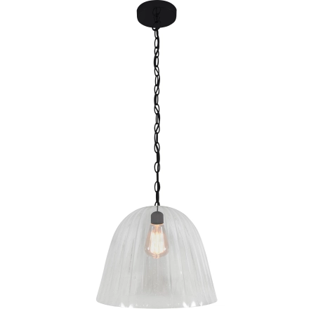 Lampa wisząca z ozdobnym, bezbarwnym kloszem 31-51257 z serii VASE