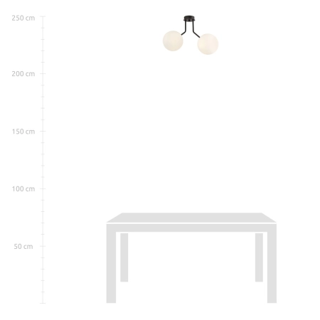 Dwupunktowa lampa sufitowa do korytarza 1138/2 z serii NOVA