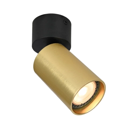 Czarno-złoty , natynkowy reflektor SPL-23436-1R-BK-BRSS z serii NESTO