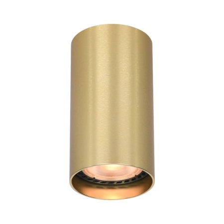 Ozdobna, złota tuba natynkowa 10cm CLN-48930-S-GD z serii LOPUS