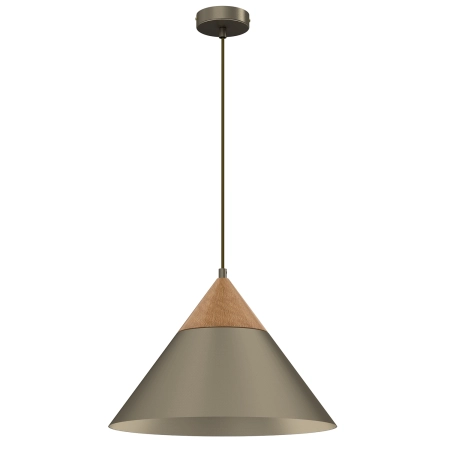 Stożkowa lampa wisząca z elementem drewna LX 439 z serii SINGLE