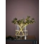Lampa stołowa - wazon z podświetlonym dnem 107326 z serii BOUQUET 2
