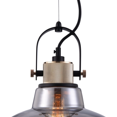 Loftowa lampa wisząca z ciemnym kloszem T163PL-01C z serii IRVING 2