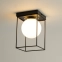 Efektowna, pojedyncza lampa sufitowa box SIG 40710 z serii AROMA - 2